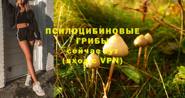 твердый Сафоново