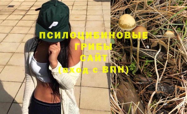 твердый Сафоново