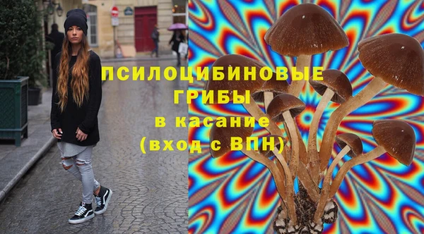 твердый Сафоново