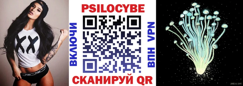 hydra ссылка Стародуб Псилоцибиновые грибы Magic Shrooms