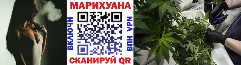 Конопля OG Kush  Стародуб 